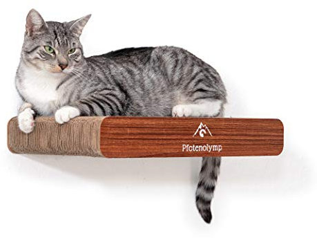 Pfotenolymp® Wandkratzbrett/Kratzbrett/Kratzmatte Katze – Wandliege mit Wandbefestigung- Kratzpappe/Katzenkratzbrett/Wandbrett 44 x 29 cm