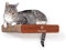 Pfotenolymp® Wandkratzbrett/Kratzbrett/Kratzmatte Katze – Wandliege mit Wandbefestigung- Kratzpappe/Katzenkratzbrett/Wandbrett 44 x 29 cm