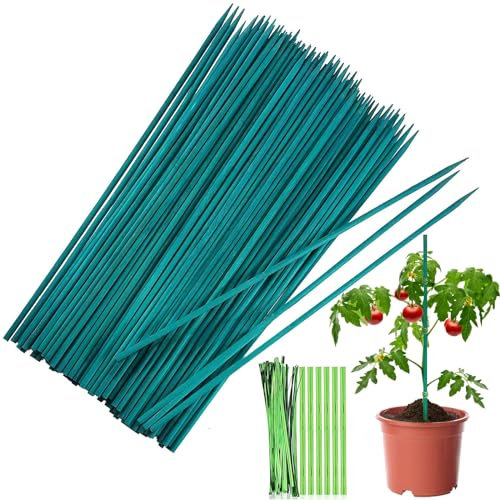 Lot de 50 Tuteurs de Plantes de 30 cm, Bâtons de Fleurs Vertes en Bambou avec 50 Liens métalliques, pour la Maison, Le Jardin, Le Vigne, Extension du Support pour Plantes