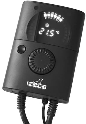Reptiles Planet - Repti Heatcontrol - Thermostat pour Terrarium