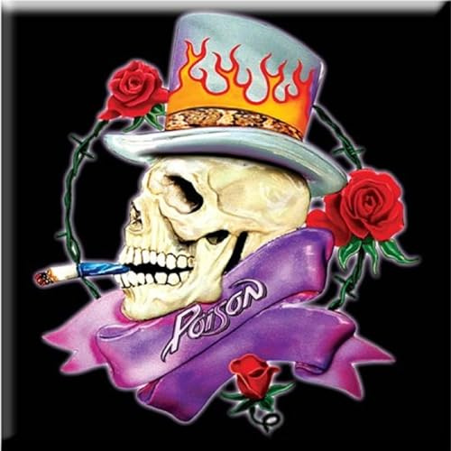 Poison Skull Fridge Magnet (One Size) (Black/Multicoloured)