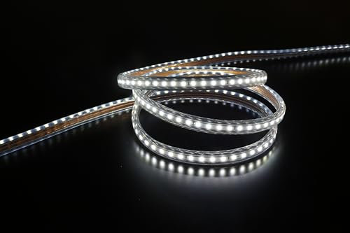 LEDZEIT - Profi Serie - Ruban LED 20m, intérieur et extérieur, blanc froid 6500K, dimmable, 230V, étanche IP65, pour installation, balcon, terrasse, façades, bâtiments, éclairage de commerce