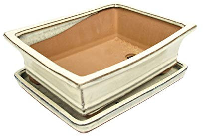 Keramik Bonsai-Schale mit Untersetzer, 4 Farben, Hochwertige Pflanzschale für Innen und Außen, Rechteckig & Oval (Weiß, 15 cm)