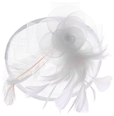 Fascinator Damen Frauen Braut Haarschmuck aus Mesh Federn Pillbox-Hut elegant Netzschleier vintage Headwear Haar Accessoire Kopfbedeckung Blumen Stirnband für Karneval Tea Party Cocktail Cosplay