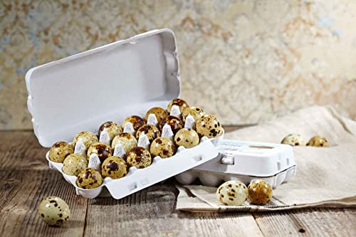432 Delikatess Wachteleier Speiseeier