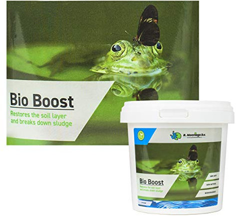 Inter Flowers GmbH Öko Teichpflege Set - Mikroorganismen und Grundpflegemittel für den Teich Gartenteich natürliche Filter Pflege klares Wasser Fischteich Koiteich (BioBoost 1 L)