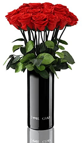 EG EMMIE GRAY Classic Vase Set | 15 | Long Stem Infinity Rosen inklusive schwarzer Glasvase - Luxuriöser Rosenstrauß aus echten Premiumrosen, 1-3 Jahre haltbar (Vibrant Red)