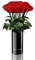 EG EMMIE GRAY Classic Vase Set | 15 | Long Stem Infinity Rosen inklusive schwarzer Glasvase - Luxuriöser Rosenstrauß aus echten Premiumrosen, 1-3 Jahre haltbar (Vibrant Red)