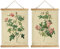 XIAOAIKA Set von 2 Botanischen Vintage-Rosen-Postern mit Holzrahmen - Dekorative Wandkunst fürs Zuhause, 40x58cm