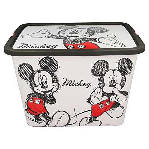 Scatole di Immagazzinaggio Click 23 L. Mickey Fancy