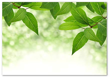 Tulup Green Leaves 100x70 cm Tempered Glass Kitchen Splashback - Scratch Resistant, Stain Water Resistant, Wall Mount, Electric