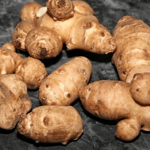 Topinambur frisch 1kg – aromatische Knollen mit nussigem Geschmack, für Rohkost, Salat, Suppe, Püree, Ofengemüse, Chips & kreative Küche