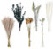 HOTUT Pampas Secas Decoración, 65 Piezas Hierba de Pampas Natural 40 cm, Ramos de Flores Secas para el Hogar, Boda y Decoración