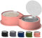 Stainless Steel Pet Double Bowl with Lid