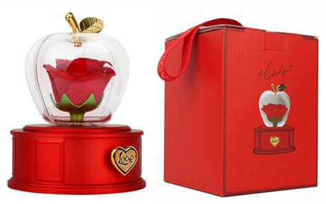 XANHOY Schöne Rosen-Schmuck-Aufbewahrungsbox, exquisite Rosen-Schmuckschatulle, Halskettenhalter für Ehefrau, Freundin, Mutter, Feiern