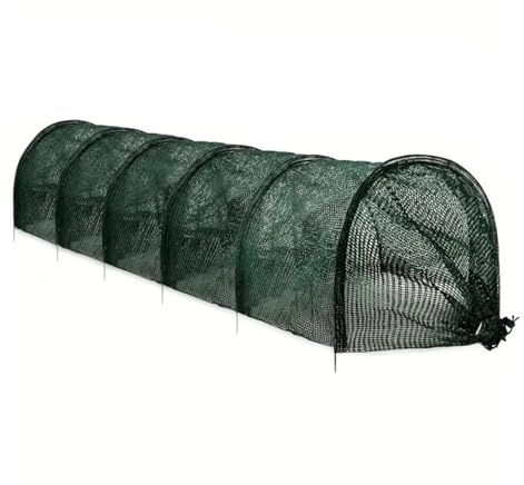 Tunnel de plantation, serre, filet pour oiseaux, jardin, plate-bande surélevée, filet de protection pour fleurs, fruits, concombres, tomates, piment, fraises,tunnel de jardin,filet protection fraise