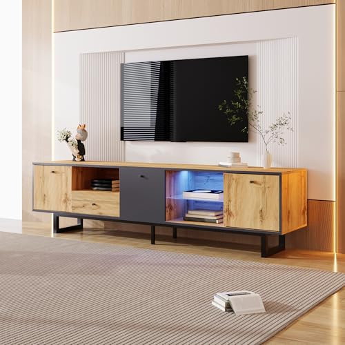 Fasba Lowboard, Living Room TV Cabinet with LED Light Effect, Glass Divider, Soft-Close Hinges, Color-Coordinated Design
