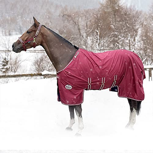 Bucas Jubilee X-Range Turnout Light 100g - Ruby