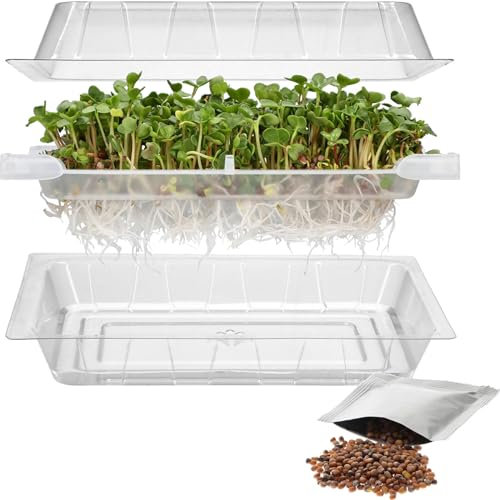 Browin 745748 Máquina de germinación de Semillas de rábano, máquina de germinación con colador de Drenaje, contenedor de germinación