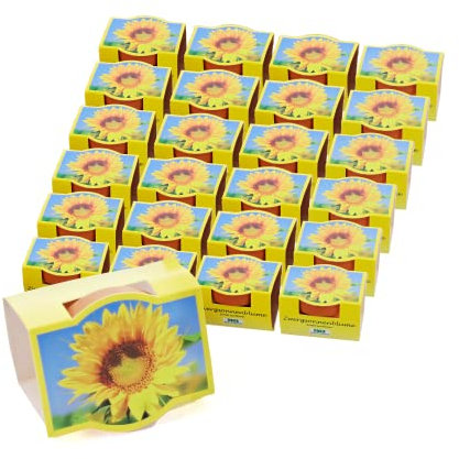 Bull & Bear 25er Set Mini-Pflanzset Zwergsonnenblumen, Blumensamen im Topf 4,5cm, Mini Sonnenblumen als Anzuchtset mit Pflegeanleitung