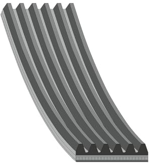 FEBI BILSTEIN Keilrippenriemen 177991
