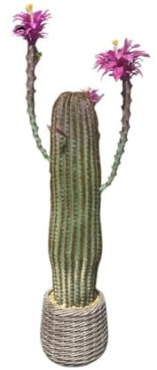 Künstlicher Kaktus, 109 Cm Kunstpflanze Kaktuspflanzen Groß, Euphorbia Acrurensis Sehr Pflegeleicht, Kunstpflanze Im Topf Pflanzen Dekoration Für Zuhause Garten Büro Dekoration Einweihungsgeschenke