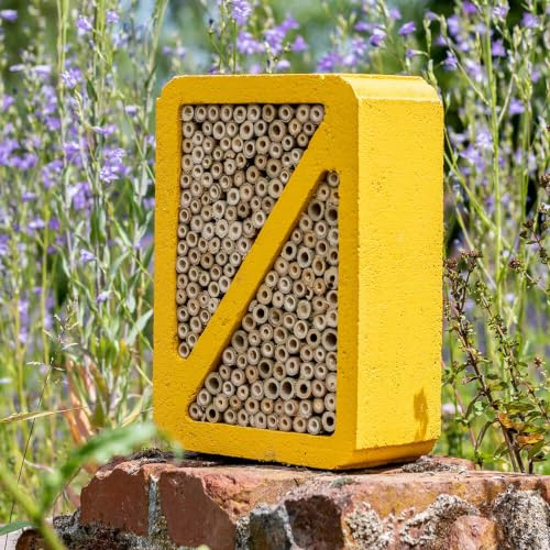CJ Wildlife Insektenhotel – Bienenhotel Wildbienenhotel – Holzbeton Woodstone mit Schilfrohr – Insektenhaus für Wildbienen, Wespen und Florfliegen – 3,2 kg