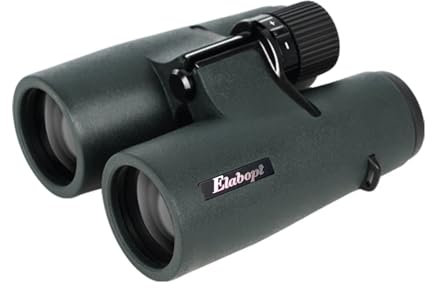 8X42ED Kompaktes Fernglas, Diamant-weiße Beschichtung mit Bak4-Prismen, wasserdicht, beschlagsicher, gummiarmiertes Fernglas für Erwachsene, Vogelbeobachtung, Jagd, Outdoor, Sport, Reisen, Theater