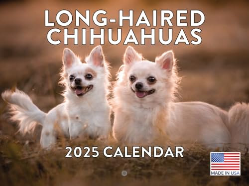 Langhaariger Chihuahua 2025 Kalender Hund | Hergestellt in den USA