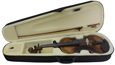 Violine Violine 4/4 Violinset Mit Violinzubehör Lindenholzvioline Für Üben Von Streichinstrumenten(SET1)