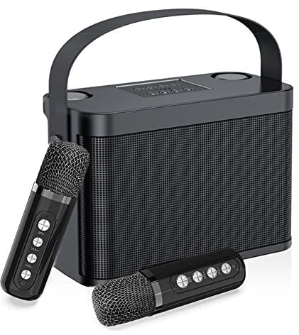 Karaoke Maschine,Bluetooth Karaoke Anlage mit 2 mikrofonen für Erwachsene und Kinder, Tragbares PA-System, Lautsprecher mit Handyhalter/USB/TF-Karte/AUX-In,für Heimparty,Outdoor/Indoor-Schwarz