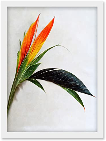 Wee Blue Coo Tropical Plant Bird of Paradise Flower Botanical Bloom Artwork Framed Wall Art Print A4