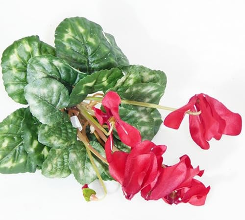 Zelda Bomboniere Pianta Ciclamino Cm 32 7 Fiori Artificiali Composizione Floreale (Rosso)