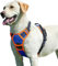 Eagloo Hundegeschirr Grosse Hunde, Anti Zug Hundegeschirr mit Reflexstreifen und Kontrolle, Verstellbar und Einstellbar Geschirr Hund Groß, Brustgeschirr für Labrador, Blau & Orange, L