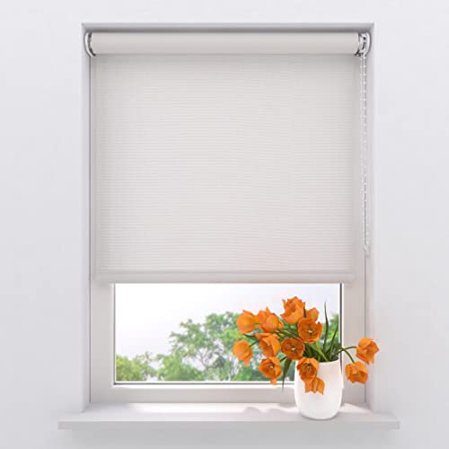 Radeco® Lichtdurchlässiges Rollo 130 x 275 cm helles weiß, Größen von 40 bis 240 Breite, ohne Bohren möglich, Rollo wandmontage, Rollo 130 cm breit, Fenster rollos für innen, rollos für Fenster