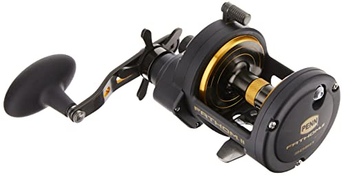 PENN Fathom II Star Drag konventionelle Angelrolle, Schwarzgold, 25N