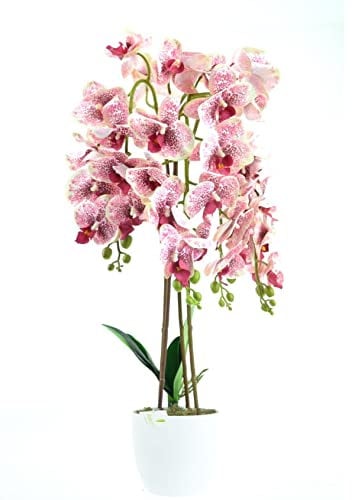 DIXIE STORE Kunstpflanze Orchidee | Künstliche Orchidee im Topf, wie echt, 70 cm, 4 Zweige, Zahlreiche Blumen, Dicht, Rosa
