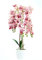 DIXIE STORE Plante Artificielle Orchidée | Orchidée Artificielle en Pot, Comme La Vraie, 70 Cm, 4 Branches, Nombreuses Fleurs, Dense, Rose