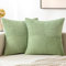 MIULEE 2er Set Kissenbezug 45x45cm Hellgrün frühling Kissenhülle Kissenbezüge Sofakissen Dekokissen Boho Couchkissen Kord Dekorative Zierkissenbezug für Sofa