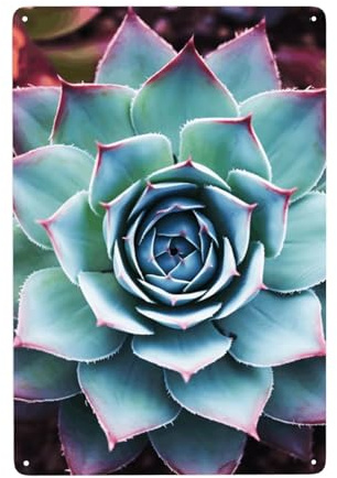 Vintage Metal Sign Retro Metal Tin Sign for Home Bar Wall Decor Stylish Wall Art Plaques Succulent Plant Metal Wall Signs for Indoor Outside Unique Poster 12 X 8 Inches