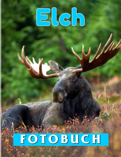 Elch Fotobuch: 40 Hochauflösende Bilder von Alces für Tierliebhaber zum Entspannen | Tolle Geschenke zum Geburtstag, Weihnachten | Gag Geschenk | White Elephants Geschenke