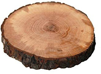 Sottopiatto Tagliere Tronco Di Legno Con Corteccia, Disco Vero Legno 25 cm (1)