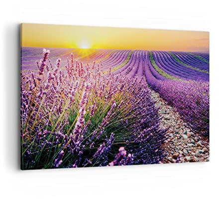 Bilder auf Leinwand 100x70cm Leinwandbild mit Rahmen Feld Lavendel Sonne Groß Wanddeko Bild Schlafzimmer Küche Deko Wandbilder Dekoration Wohnzimmer Wall Decor Canvas Wand Kunstdruck Art AA100x70-4703