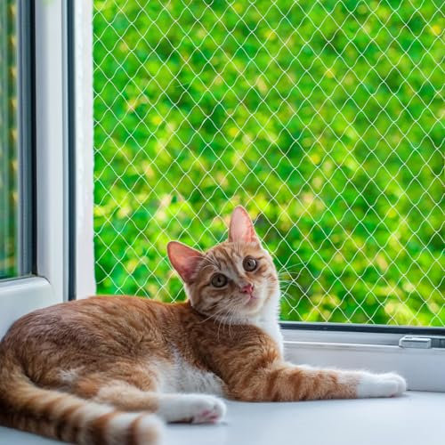 QILUCKY Rete di protezione per gatti in nylon per balcone, trasparente, può essere ritagliata e resistente ai morsi per gatti, per proteggere terrazze, finestre e porte (3 x 4 m)