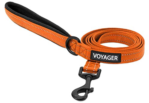 Voyager Reflektierende Hundeleine mit Neoprengriff, 1,5 m lang, unterstützt kleine, mittelgroße und große Rassen, niedlich und strapazierfähig zum Gehen, Laufen und Training, Orange (Leash), S