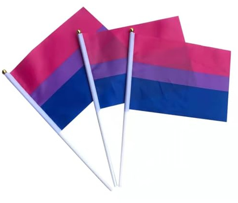 Hrlace Regenbogen Flagge Kleine mit Stöcken Progress Pride Flagge Mini Handheld Miniatur LGBTQ Regenbogen für eine Parade,Party,EIN Festival,Wanddekoration für Haus Bisexuell 50 Stück