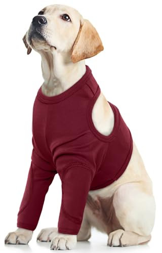 Dog Elbow Protector, Dog Recovery Sleeve Front Legs Prevent Licking Wounds & Keep Cold Legs Warm(Red, L)
