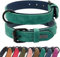 Didog Hundehalsband aus weichem, gepolstertem Leder, strapazierfähiges Hundehalsband aus Leder mit Verstellbarer, rostfreier Metallschnalle für kleine, mittelgroße und große Hunde, Grün, XL