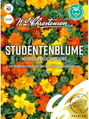 Blumensamen, Studentenblume Niedrige Prachtmischung
