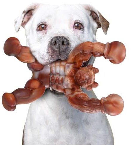Zinbo Dog Toys for Aggressive Chewers, Indestructible Dog Toys, Toughest Nylon Dog Chew Toy with Real Bacon Flavor, Fun to Chew, Dog Bone Toys for Medium/Large Breed Dogs